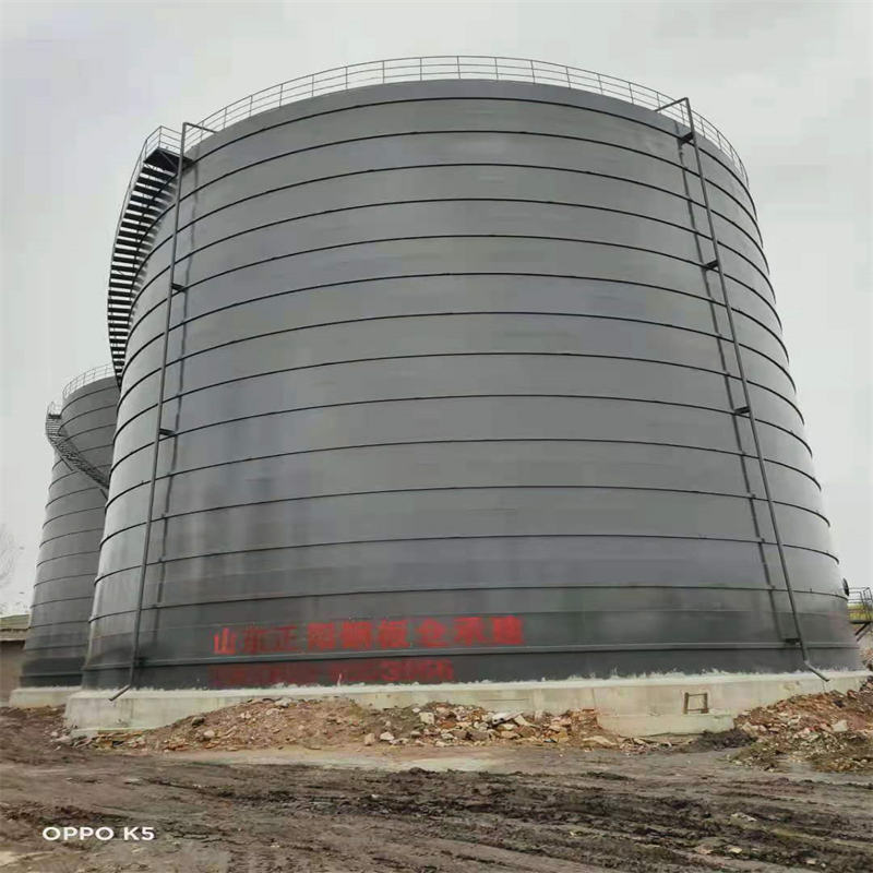 冠县3万吨大型钢板库